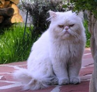 След работа:; comments:24