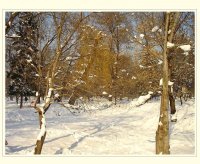 Слънчев ден; Коментари:10