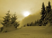 Жадувана топлина; Коментари:16