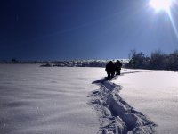 no name ( ID=240805 ); comments:26