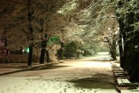 Тиха нощ. свята нощ...; Коментари:10