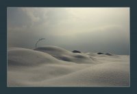 подай ръка и ще преминем...; Коментари:49