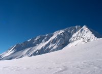 Тодорка; Коментари:8