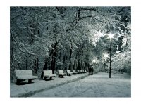 без име ( ID=240652 ); Коментари:32