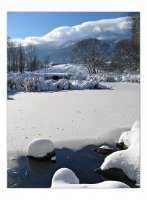 без име ( ID=242728 ); Коментари:14