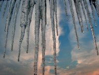 Зимен Орган; comments:13