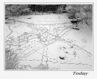 step by step; Коментари:11