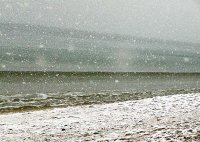 Не е за плаж; Коментари:11