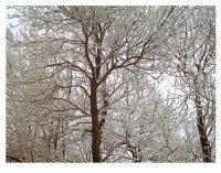 no name ( ID=243448 ); comments:9