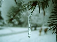 I; Коментари:6