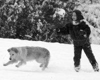 Игра; Коментари:7