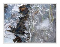 "Събуди ме ,когато потече златната вода ..."; Коментари:62