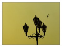 |~; Коментари:10