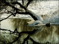 без име ( ID=245190 ); Коментари:30