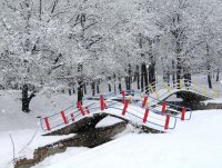 v parka; Коментари:24