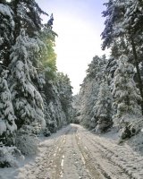 zazimen...; Коментари:10