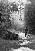 без име ( ID=242406 ); Коментари:14