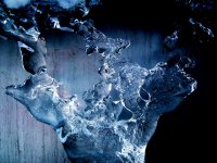 Дървото на мимолетните желания; Коментари:13