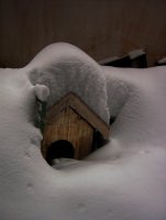 Спомен за Чопи; Коментари:12