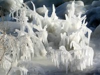 без име ( ID=244798 ); Коментари:24