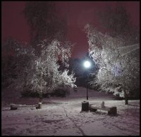 Самичък в парка; Коментари:10