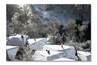 без име ( ID=241933 ); Коментари:15