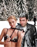 Фантазия през зимата; Коментари:18