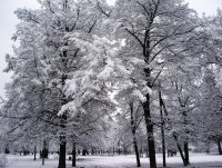 Narnia; Коментари:11