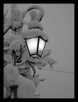 Лампа в снега; Коментари:45