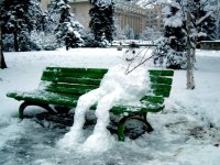 Приказливко; Коментари:26