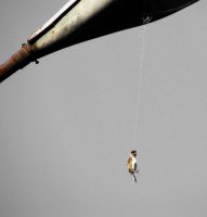 tamnata strana na svetlinata; Коментари:14