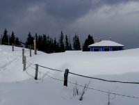 без име ( ID=246745 ); Коментари:11