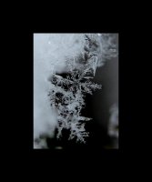 no name ( ID=252186 ); comments:12