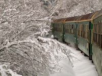 Снежно пътуване; comments:36