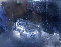 Зимна приказка за Слон; comments:9