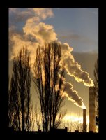 В началото ...; Коментари:37