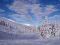 "Разкази от вълшебната планина"; comments:45