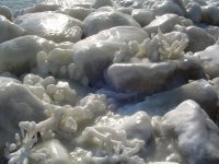 Цветя от лед; comments:10