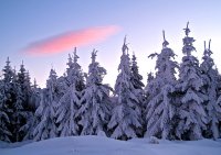 здрач; comments:20