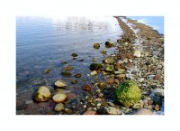 И тогава феята каза:"Камъните да се превърнат в дини,снегът в сметана,водата в спрайт".; comments:16