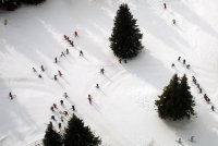 Скиори +; comments:19