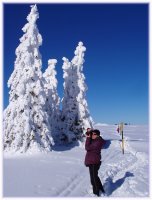 Photographer; comments:3