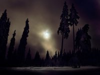 Приказки от старата гора; comments:10