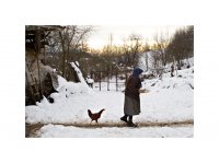 Дружинка; comments:21