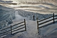 Очакване; comments:86