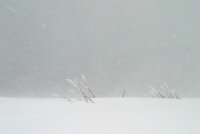 Виелица; comments:13