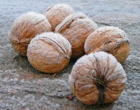 Скреж; comments:11