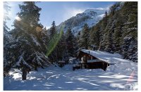 no name ( ID=251120 ); comments:15