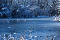 the frozen  lake; comments:10