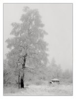 Къщичка в снега; comments:15